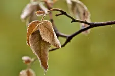 17.9.11 (55 von 64).webp