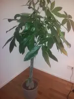 2011-09-19 20.24.17.webp