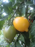 DSC02844.webp