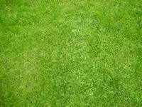 P9200189.webp