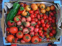 BILD0252.webp