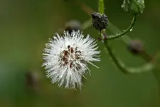 17.9.11 (43 von 64).webp