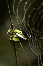 17.9.11 (2 von 2).webp