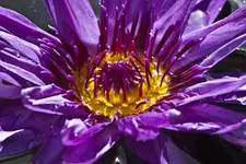 15.9.11 (4 von 14).webp