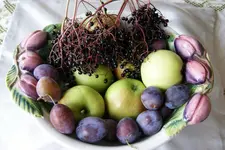 DSC09082 (2).webp
