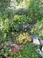 IMG_6718.webp