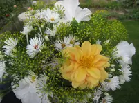 IMG_6743.webp