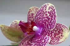 DSC06746 (2).webp