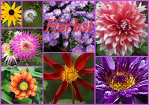 Herbst.webp