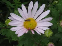 IMG_7149_1067x800.webp