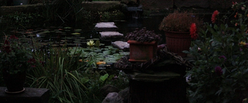 Teich.webp