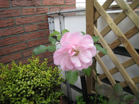 k-IMG_8621.webp