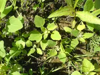 DSC00164.webp
