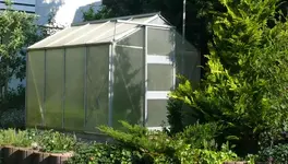 Gewächshaus_gross.webp