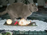 DSCF6145.webp