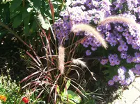 DSCF6133.webp