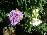 DSCF6134.webp