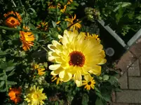 DSCF6135.webp