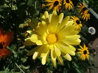 DSCF6136.webp