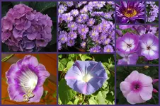 Herbst3.webp