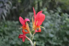 DSC_0018.webp