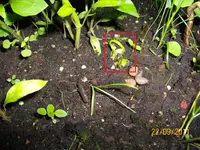 Unbekannt 100_0763 (Medium).webp