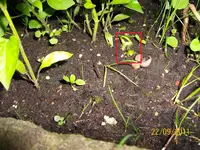 Unbekannt 100_0764 (Medium).webp