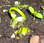 Unbekannt Ausschnitt 100_0763.webp