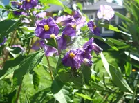 DSCF6121.webp