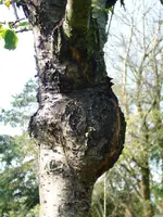P1030780_.webp