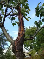 P1030782_.webp