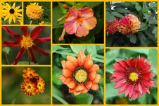 Herbst5.webp