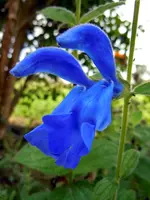 033.webp