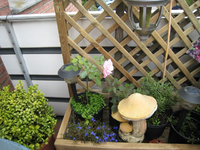 k-IMG_8623.webp