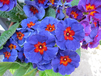 tn_IMG_6516 v.webp