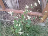 P200911_10.39_[02].webp