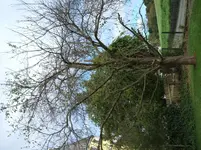 DSCF1909.webp