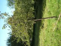DSCF1914.webp