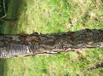 DSCF1916.webp