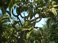 DSCF1918.webp