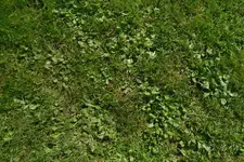 SAM_0416.webp
