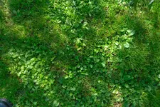 SAM_0415.webp