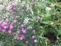 DSCN0858.webp
