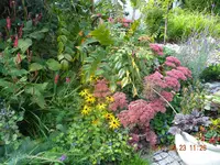 DSCN0856.webp
