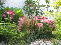 DSCN0855.webp