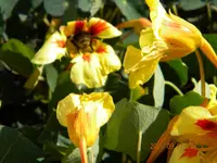 DSCN0847.webp