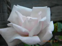 DSCN0842.webp
