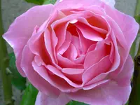 21092011196.webp