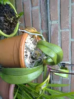 21092011187.webp