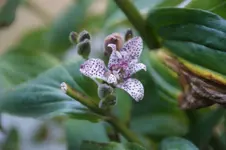 DSC06779.webp